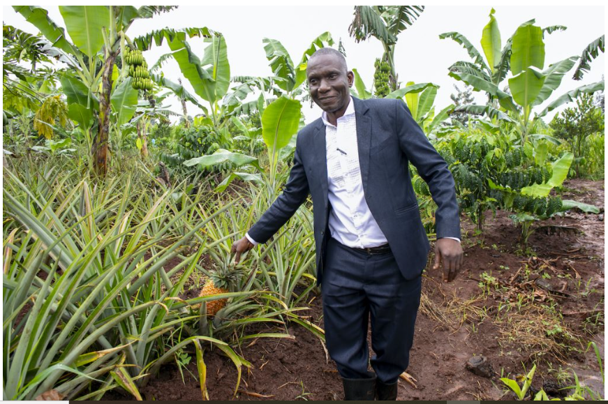 How Electricity Is Transforming a Farming Community in Uganda